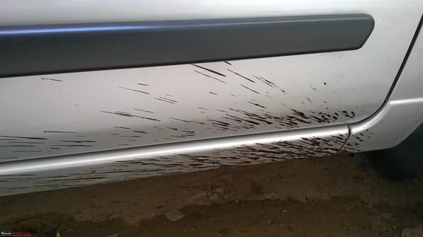 Resine/Catrame/Insetti